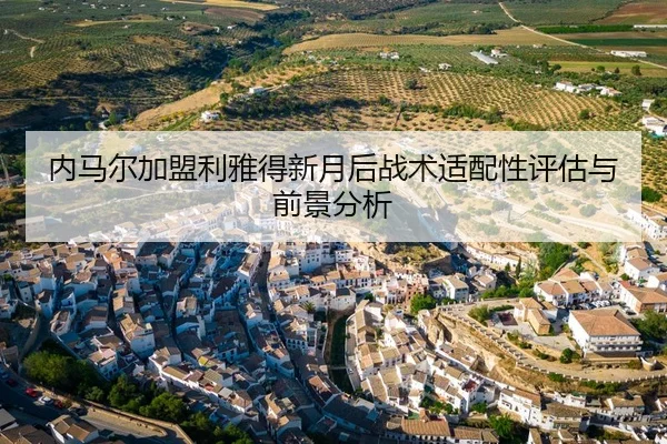 内马尔加盟利雅得新月后战术适配性评估与前景分析